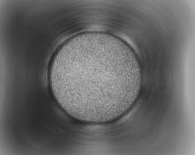 X0000089861075200707191916