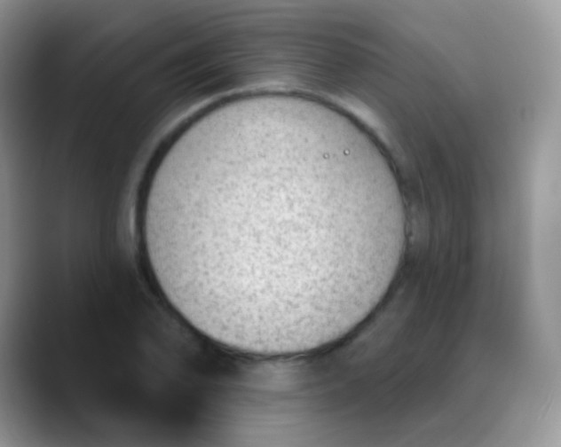 X0000089861078200707191916