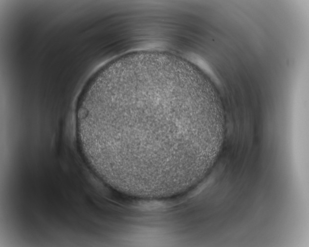 X0000089861079200707191916