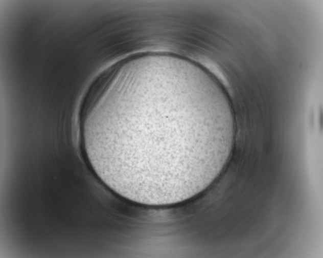 X0000089861080200707191916