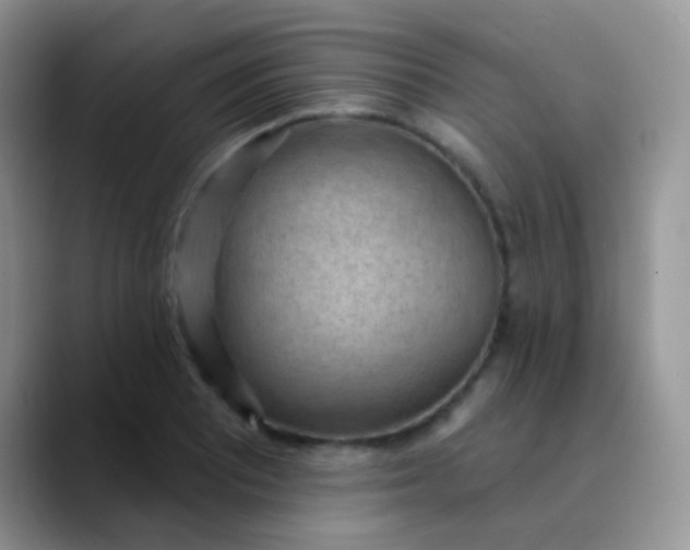 X0000089861081200707191916