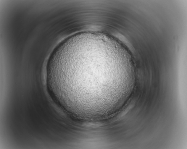 X0000089861083200707191916