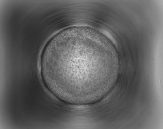 X0000089861084200707191916