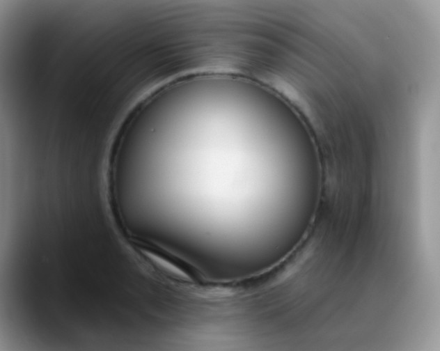 X0000089861085200707191916