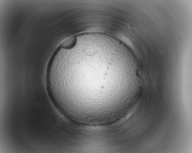 X0000089861087200707191916