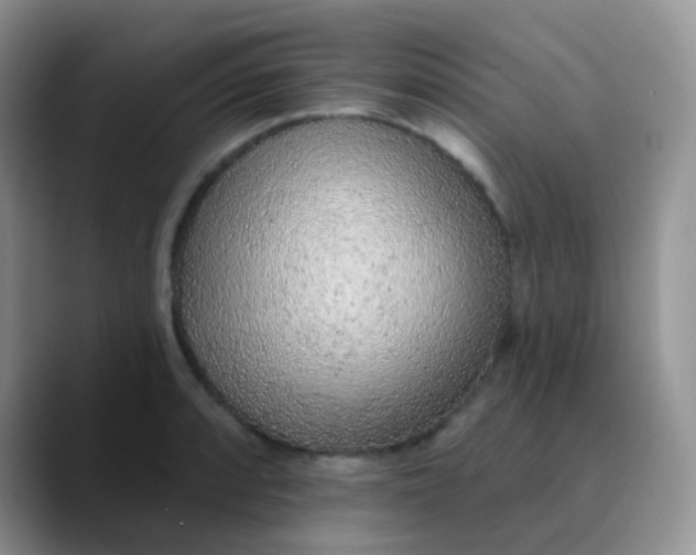 X0000089861088200707191916