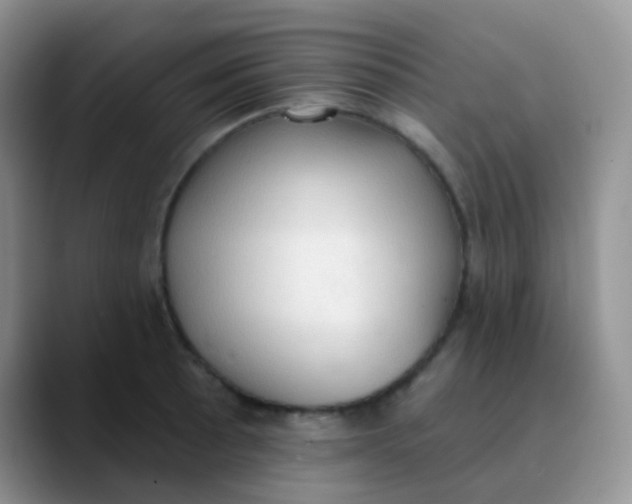 X0000089861089200707191916