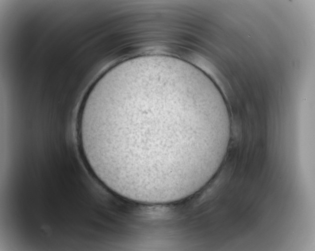 X0000089861090200707191916