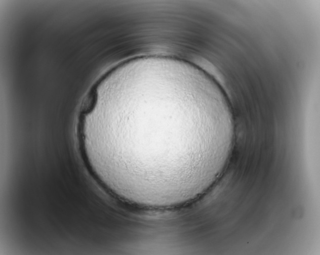 X0000089861091200707191916