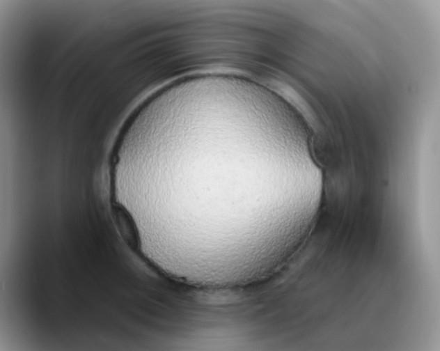 X0000089861092200707191916