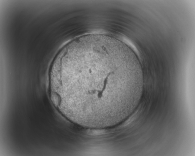 X0000089861095200707191916