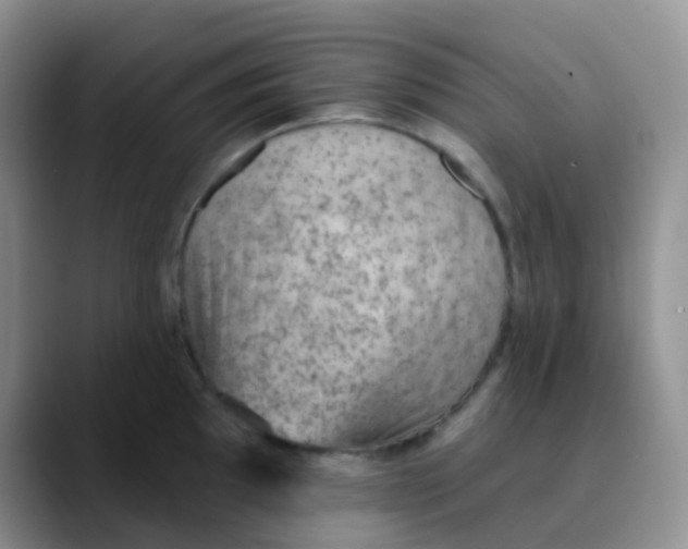 X0000089861097200707191916