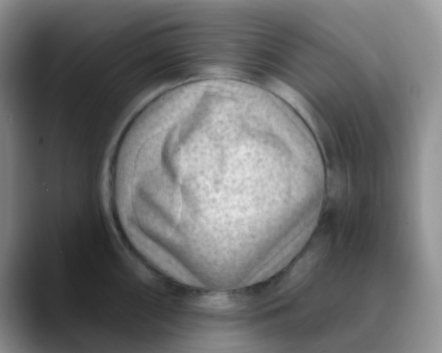 X0000089861098200707191916