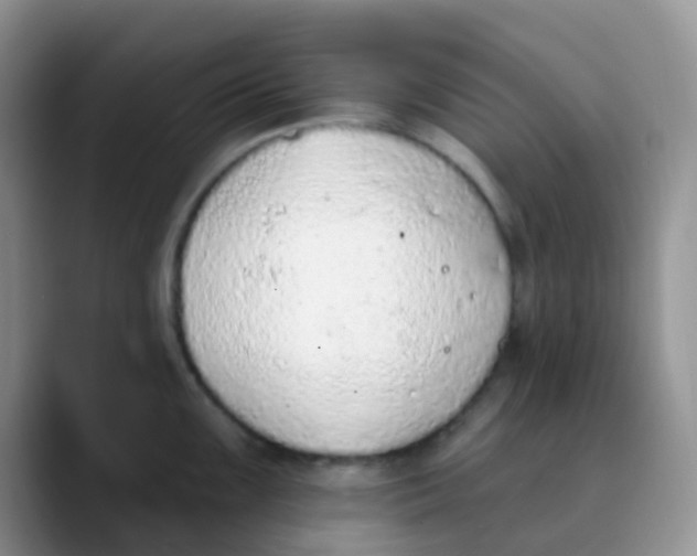 X0000089861099200707191916