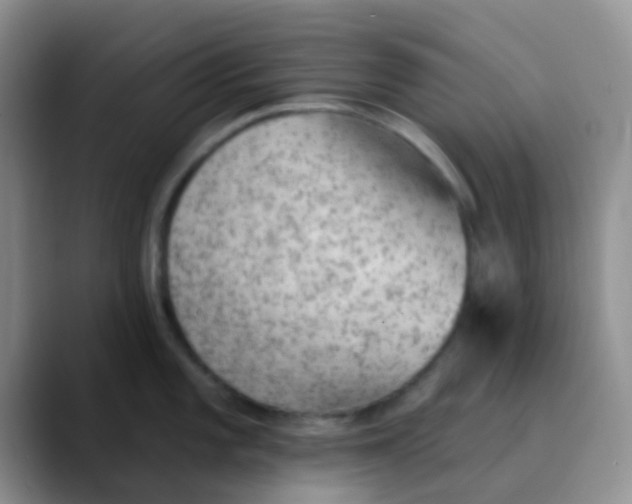 X0000089861101200707191916