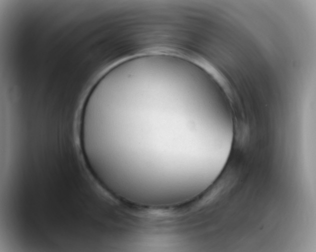 X0000089861102200707191916