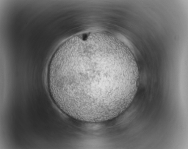 X0000089861103200707191916