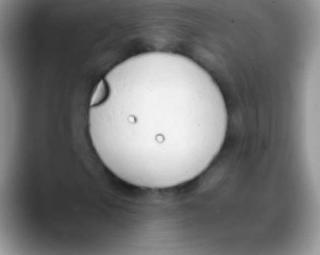 X0000089861105200707191915