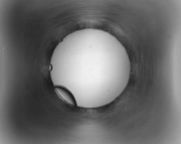 X0000089861109200707191915