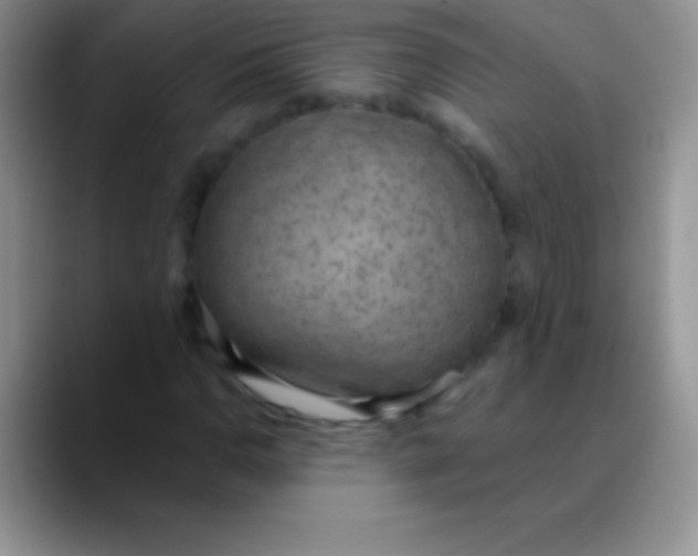 X0000089861110200707191915