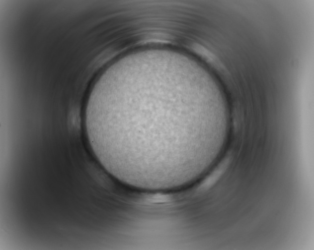 X0000089861113200707191915