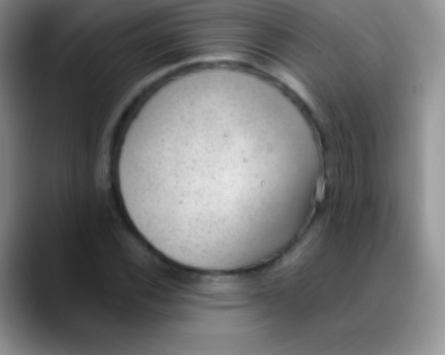 X0000089861116200707191915