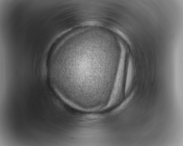 X0000089861117200707191915