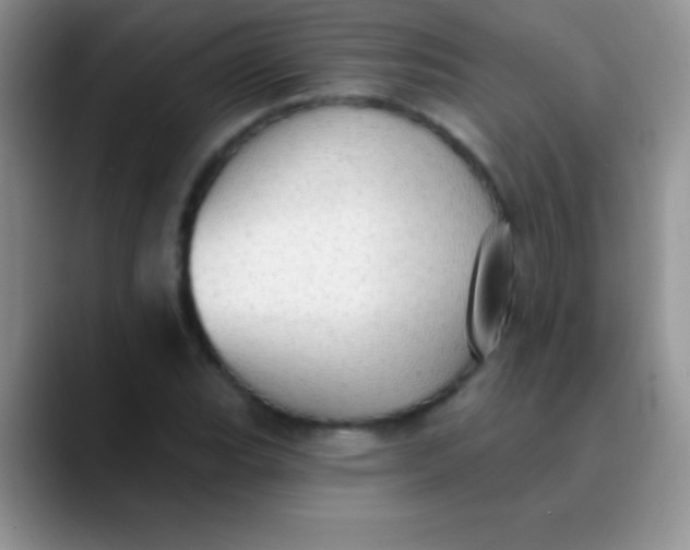 X0000089861119200707191915