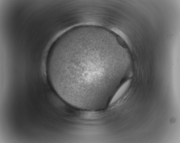 X0000089861120200707191915