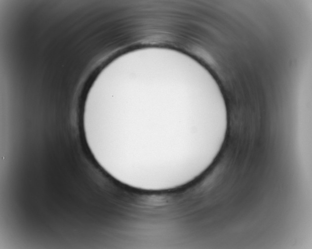 X0000089861122200707191915