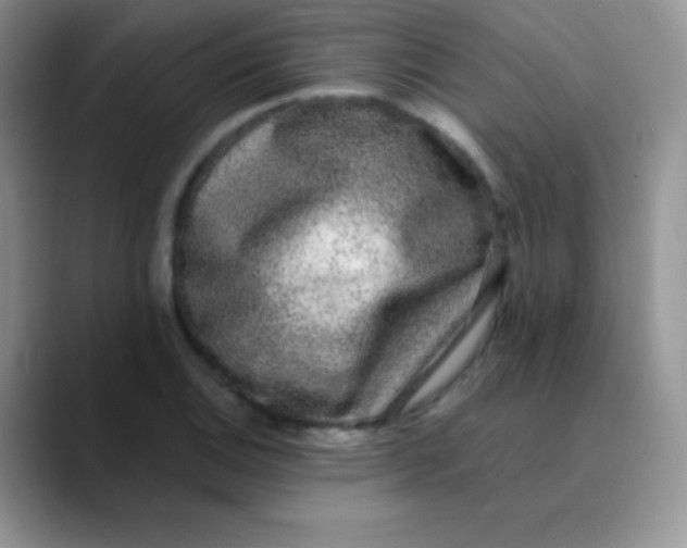 X0000089861124200707191915