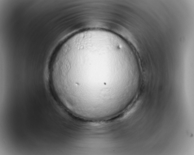 X0000089861125200707191915