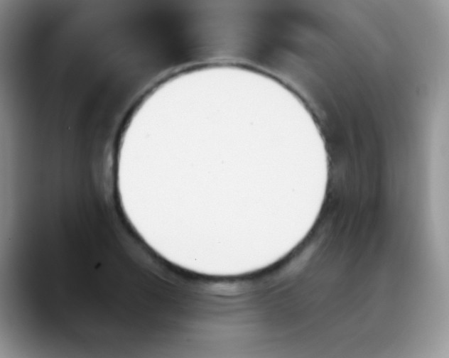 X0000089861126200707191915