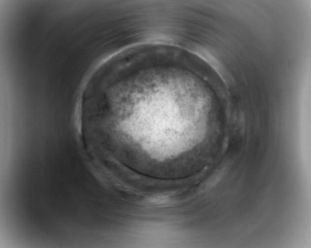 X0000089861128200707191915