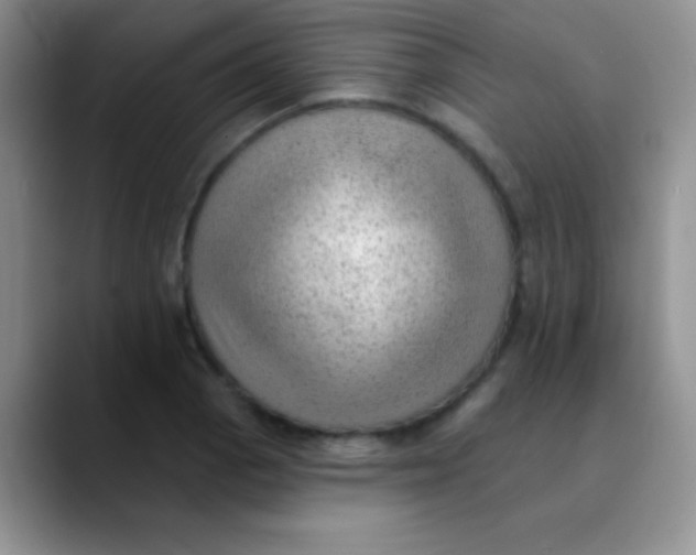 X0000089861129200707191915