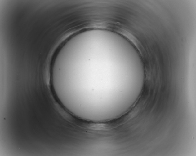 X0000089861131200707191915