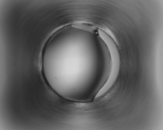 X0000089861132200707191915