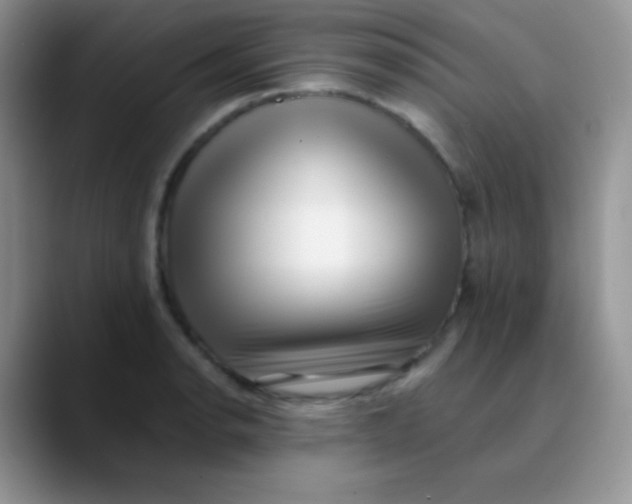 X0000089861134200707191915