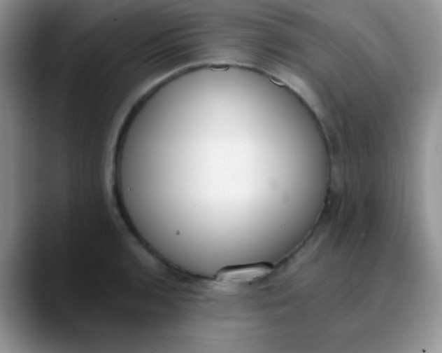 X0000089861136200707191916