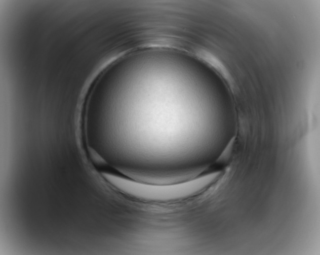 X0000089861138200707191916