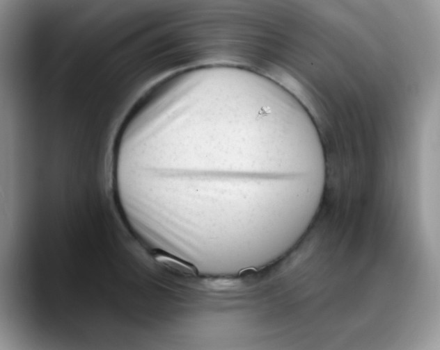 X0000089861140200707191916