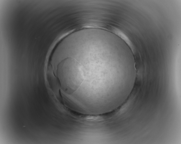 X0000089861146200707191916