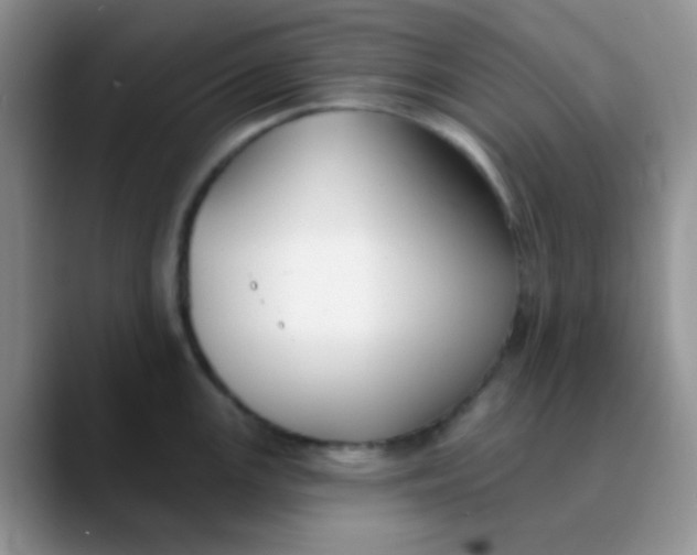 X0000089861147200707191916