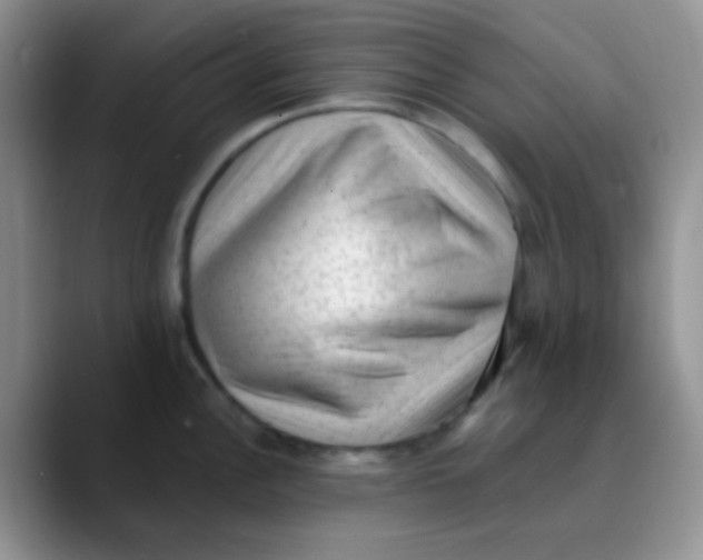 X0000089861148200707191916