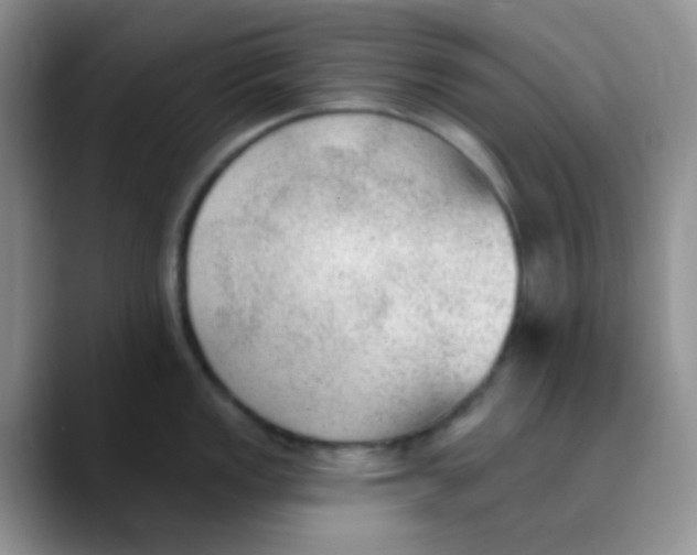 X0000089861149200707191916