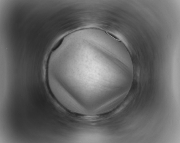 X0000089861151200707191916