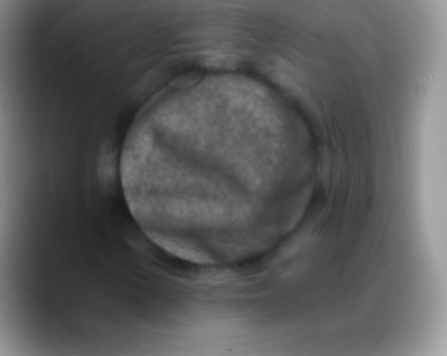 X0000089861154200707191915