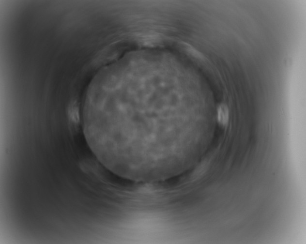 X0000089861155200707191915