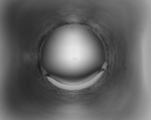 X0000089861157200707191915