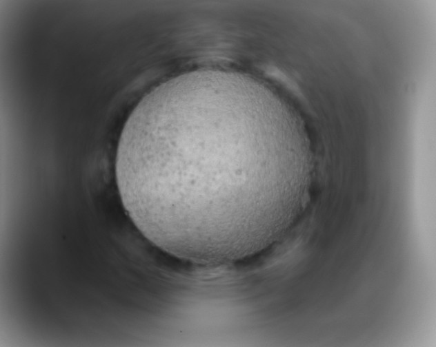 X0000089861159200707191915